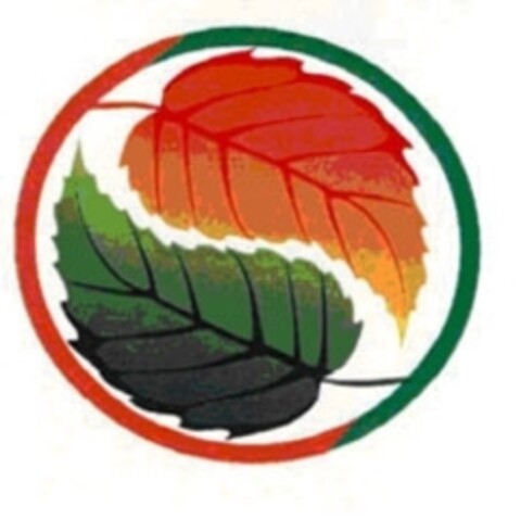  Logo (IGE, 25.06.2010)