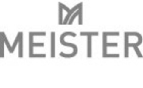 M MEISTER Logo (IGE, 03.10.2008)