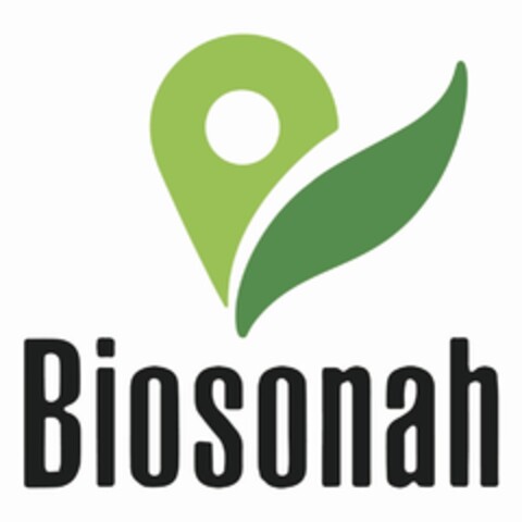 Biosonah Logo (IGE, 06/30/2021)
