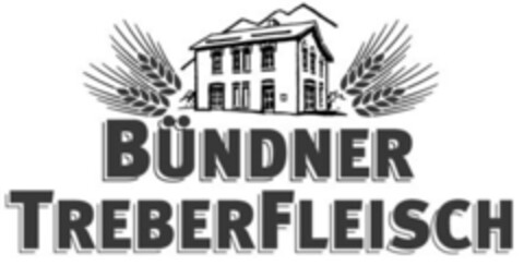 BÜNDNER TREBERFLEISCH Logo (IGE, 16.02.2004)