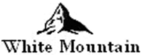 White Mountain Logo (IGE, 25.04.2006)