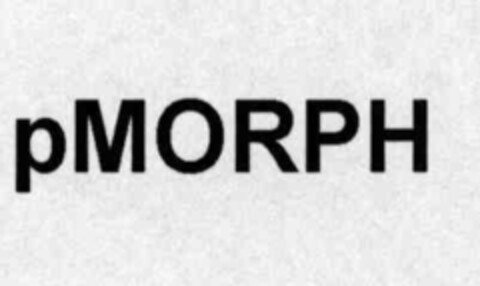 pMORPH Logo (IGE, 16.12.1999)