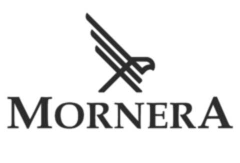 MORNERA Logo (IGE, 12/01/2021)