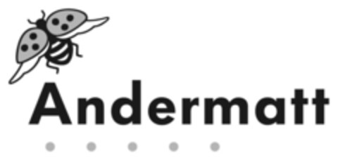 Andermatt Logo (IGE, 20.04.2020)