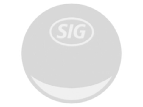 SIG Logo (IGE, 21.08.2019)