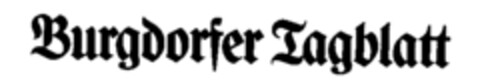 Burgdorfer Tagblatt Logo (IGE, 01.12.1993)