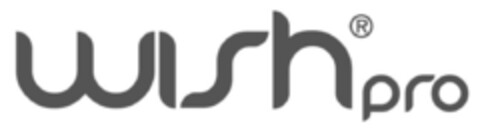 wish pro Logo (IGE, 06.05.2014)