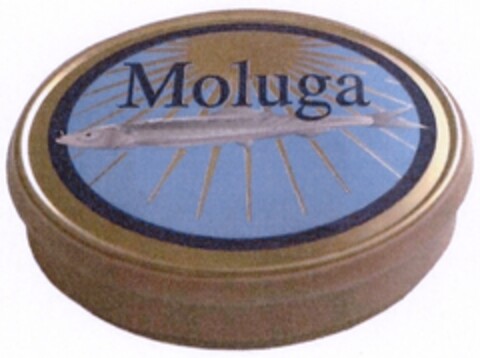 Moluga Logo (IGE, 31.10.2006)