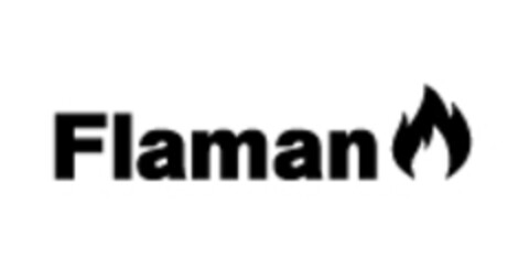 Flaman Logo (IGE, 28.04.2017)