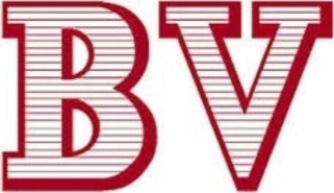 BV Logo (IGE, 09.12.2004)
