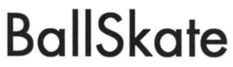 BallSkate Logo (IGE, 17.09.2007)