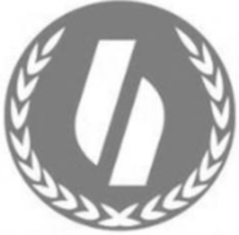  Logo (IGE, 27.02.2013)
