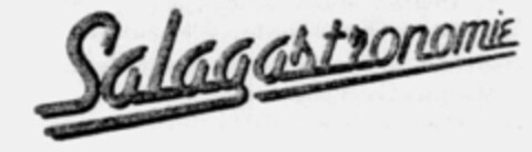 Salagastronomie Logo (IGE, 29.06.1996)