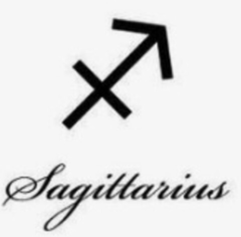 Sagittarius Logo (IGE, 07.07.2020)