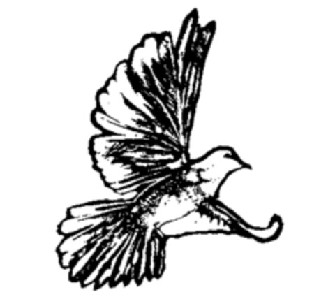  Logo (IGE, 04/01/1993)