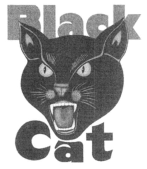 Black Cat Logo (IGE, 11.12.2003)