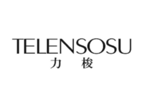 TELENSOSU Logo (IGE, 15.06.2023)