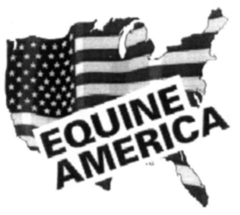 EQUINE AMERICA Logo (IGE, 07.04.2003)