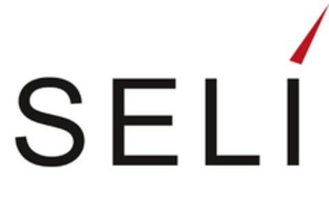 SELi Logo (IGE, 11/13/2017)