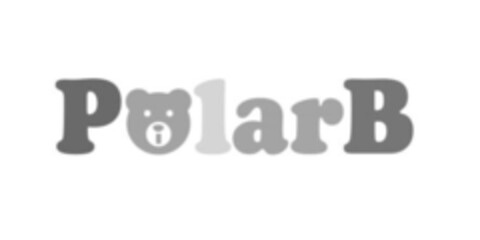 PolarB Logo (IGE, 26.12.2019)