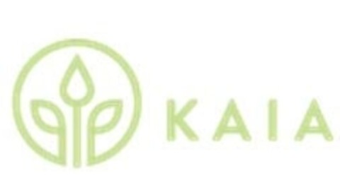 KAIA Logo (IGE, 25.02.2015)