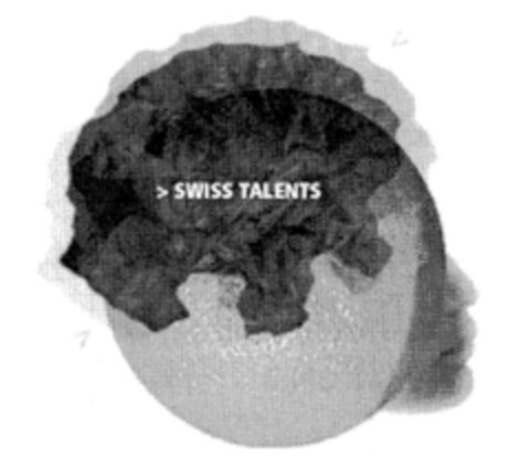 > SWISS TALENTS Logo (IGE, 23.06.2010)