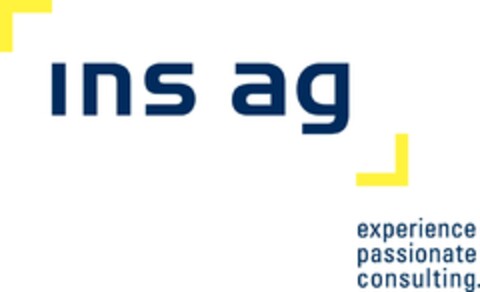 ins ag experience passionate consulting Logo (IGE, 13.04.2016)