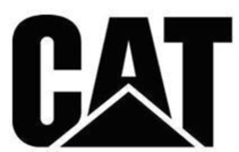 CAT Logo (IGE, 24.05.2007)