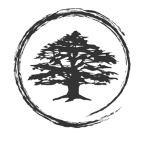  Logo (IGE, 07.09.2015)