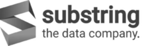 substring the data company. Logo (IGE, 07.02.2024)