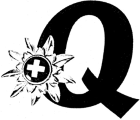 Q Logo (IGE, 13.05.1998)