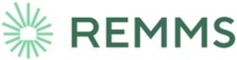 REMMS Logo (IGE, 15.03.2024)