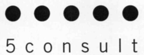 5consult Logo (IGE, 12.04.2000)