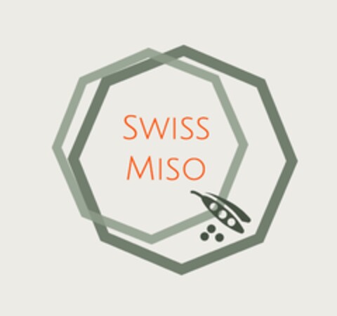 SWISS MISO Logo (IGE, 19.02.2020)