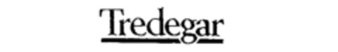 Tredegar Logo (IGE, 03/25/1993)