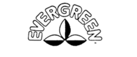 EVERGREEN Logo (IGE, 03.07.1986)