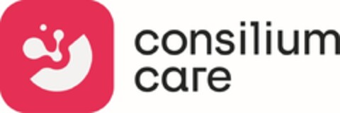 consilium care Logo (IGE, 17.04.2020)