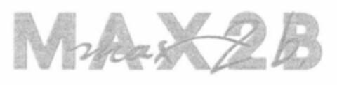 MAX2B Logo (IGE, 13.05.2004)