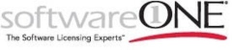 software1ONE The Software Licensing Experts Logo (IGE, 27.04.2007)