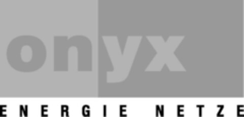 onyx ENERGIE NETZE Logo (IGE, 06/12/2008)