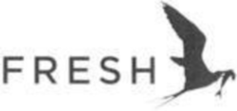 FRESH Logo (IGE, 22.10.2020)