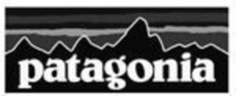 patagonia Logo (IGE, 13.01.2016)