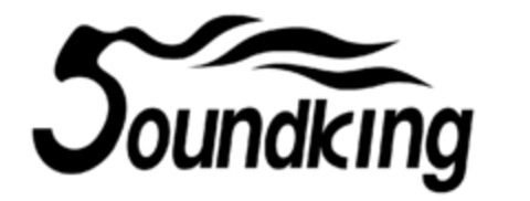 Soundking Logo (IGE, 24.06.2009)