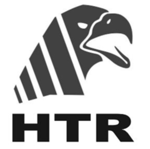 HTR Logo (IGE, 08.07.2011)