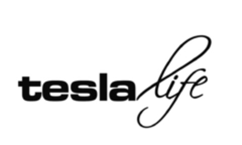 tesla life Logo (IGE, 29.01.2024)