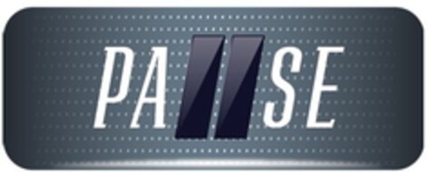 PA SE Logo (IGE, 12.02.2021)