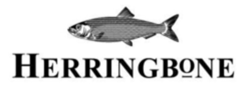 HERRINGBONE Logo (IGE, 11.01.2011)