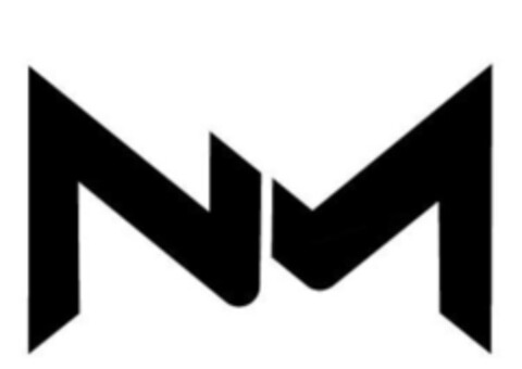 NM Logo (IGE, 17.01.2018)