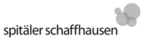 spitäler schaffhausen Logo (IGE, 02.02.2009)