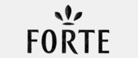 FORTE Logo (IGE, 17.09.1991)